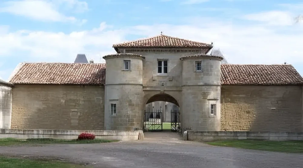 Toiture résidentielle en ardoise grise avec cheminées en brique rouge, vue depuis un angle élevé sous ciel nuageux