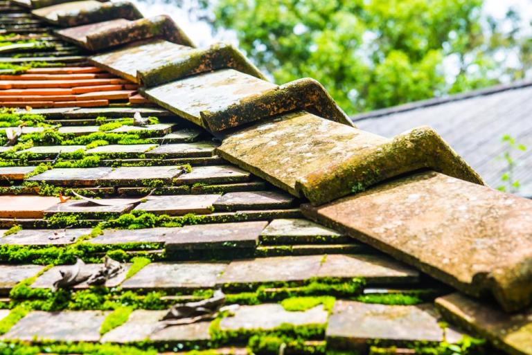 Comment réussir la rénovation de sa toiture à Lamarque ?